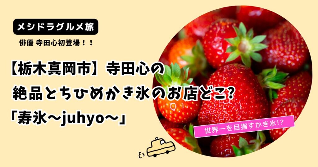【メシドラ】寺田心の絶品とちひめかき氷のお店どこ?栃木県真岡市「寿氷」