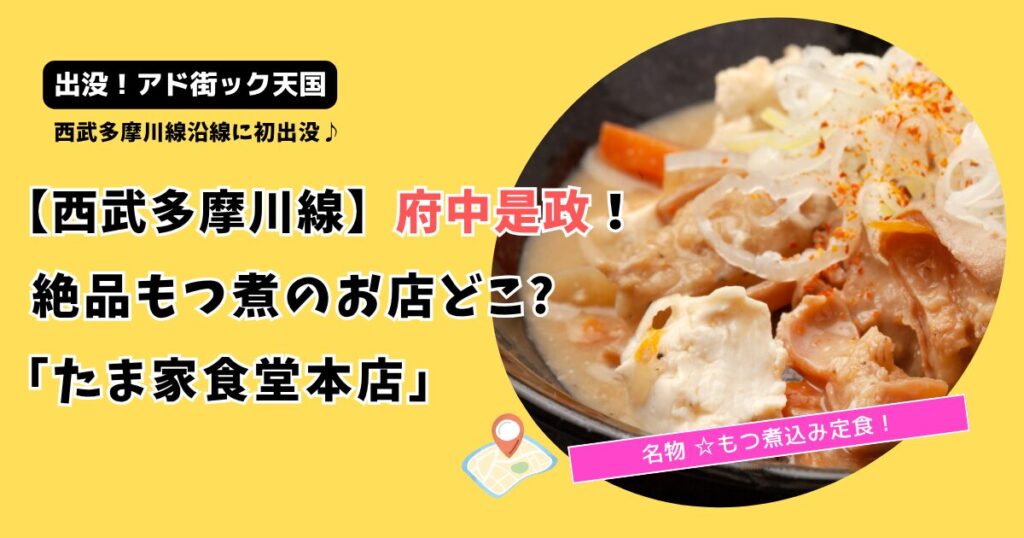 【アド街ック天国】西武多摩川線の絶品もつ煮のお店どこ?府中是政「たま家食堂」