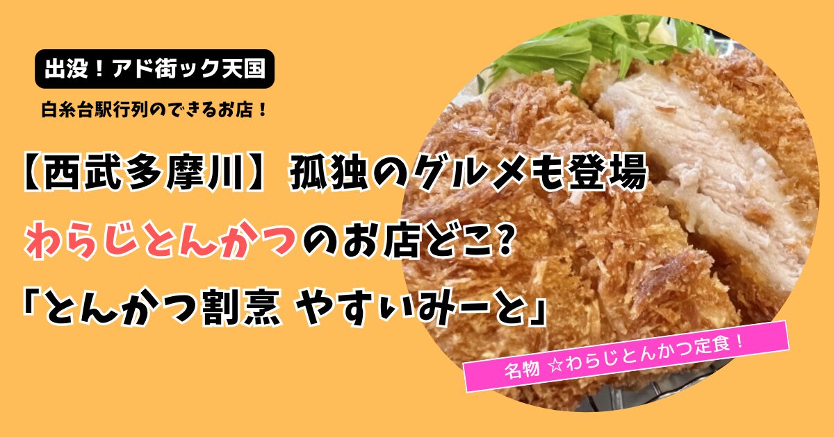 【アド街ック天国】西武多摩川線わらじとんかつ定食のお店どこ?「やすいみーと」