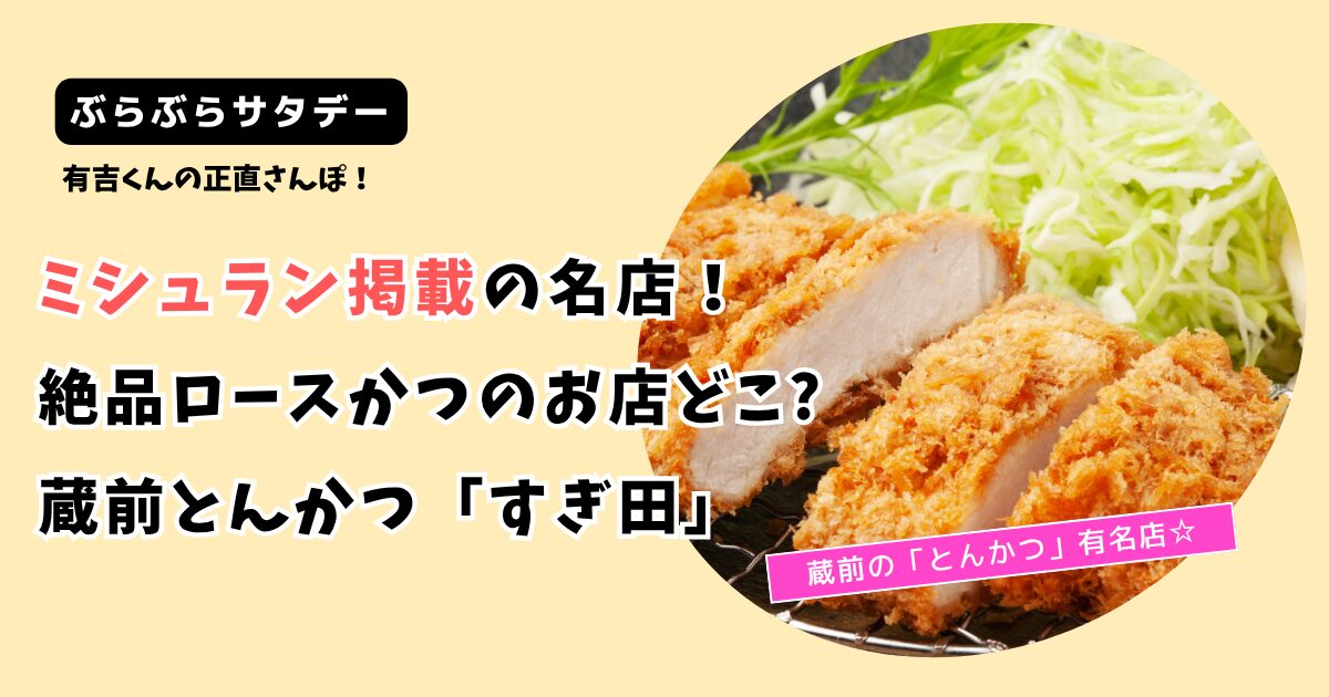 【有吉くんの正直さんぽ】蔵前ロースかつのお店どこ?ミシュラン掲載とんかつ「すぎ田」