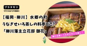 【ブラタモリ】福岡･柳川うなぎせいろ蒸しの料亭どこ?「柳川藩主立花邸 御花」
