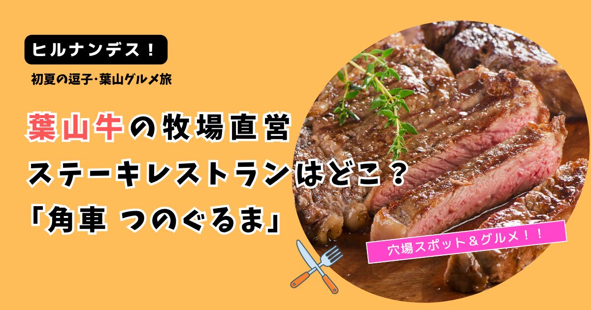 【ヒルナンデス！】葉山牛の牧場直営ステーキレストランはどこ？「角車 つのぐるま」