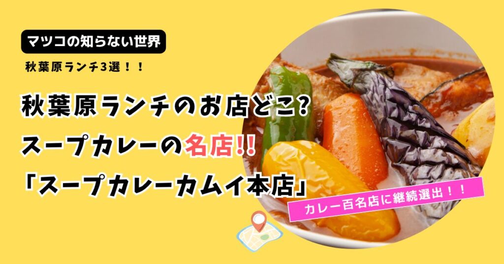 【マツコの知らない世界】秋葉原ランチのお店どこ?絶品「スープカレーカムイ本店」