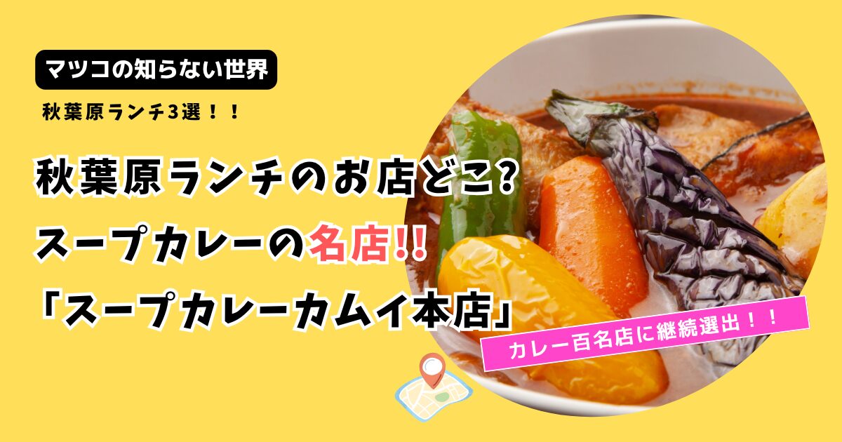 【マツコの知らない世界】秋葉原ランチのお店どこ?絶品「スープカレーカムイ本店」