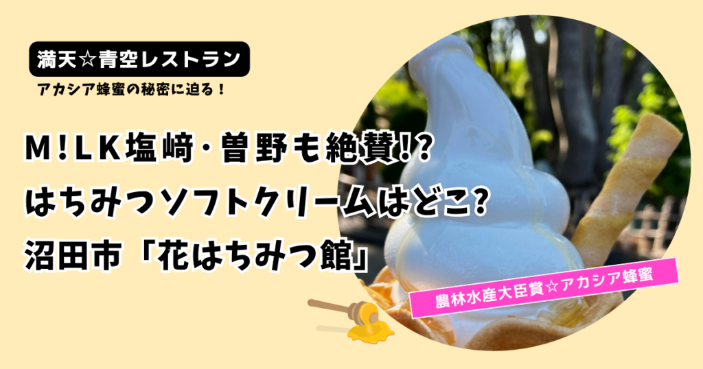 【青空レストラン】沼田市 milkのはちみつソフトクリームどこ?「花はちみつ館」